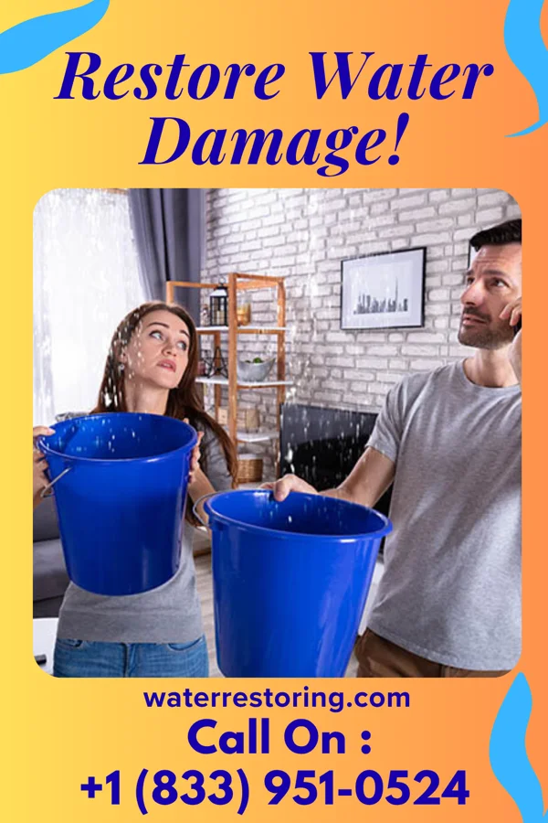 water restoration Universal Disaster Cleanup Westfield