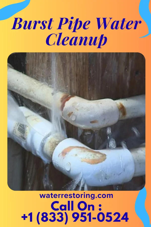 Burst Pipe Water Cleanup in Westfield, NJ