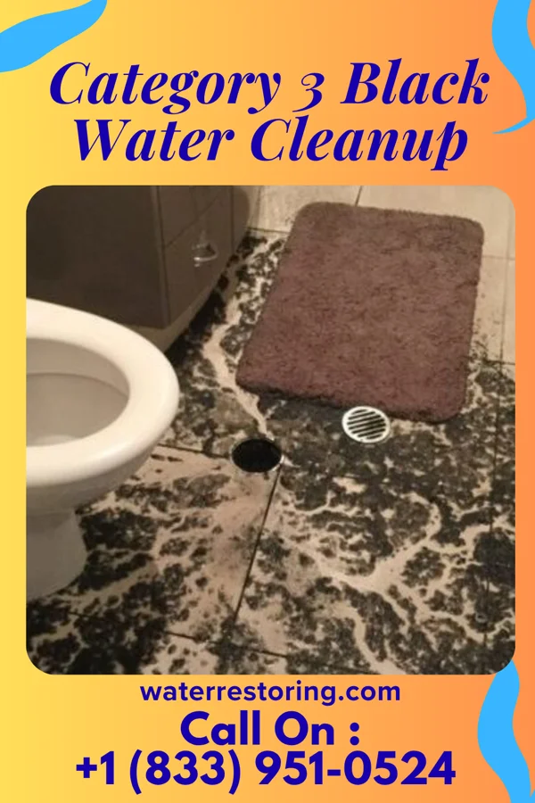 Category 3 Black Water Cleanup in Westfield, NJ