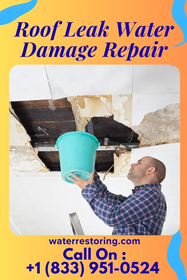 Roof Leak Water Damage Repair in Westfield, NJ