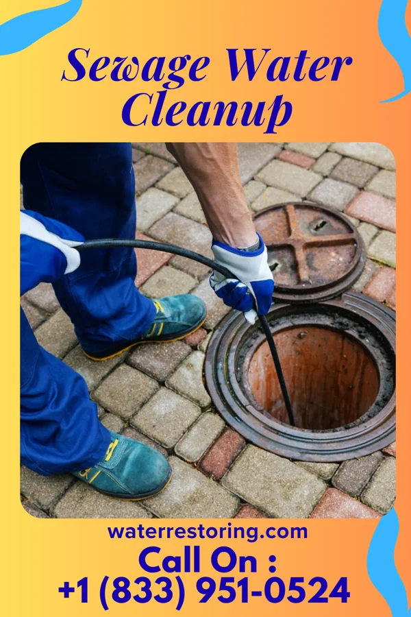 Sewage Water Cleanup in Westfield, NJ