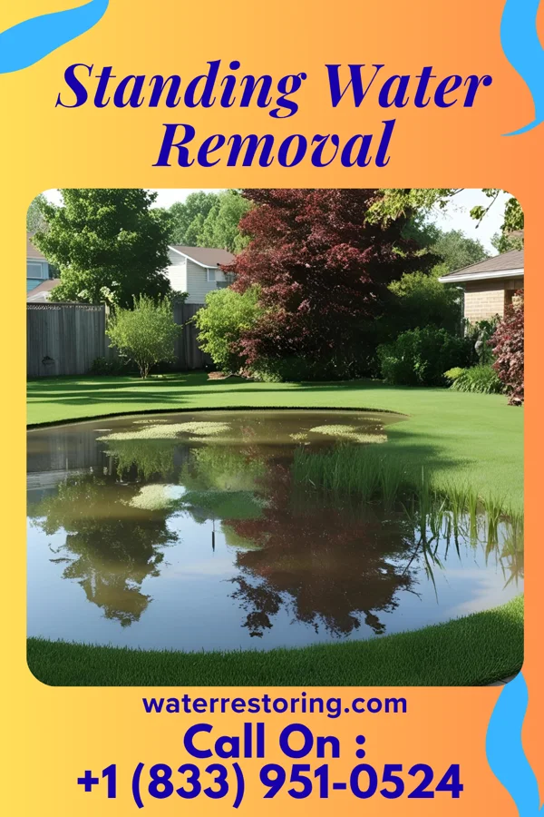 Standing Water Removal in Westfield, NJ